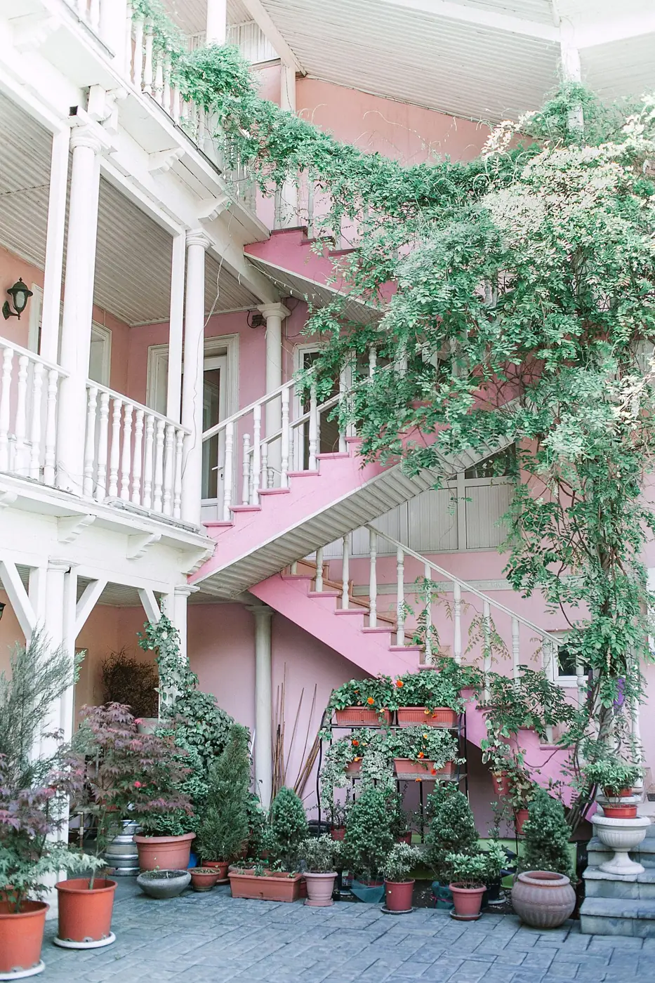 Town house garden with climbing plants and pots of flowers on the terrace