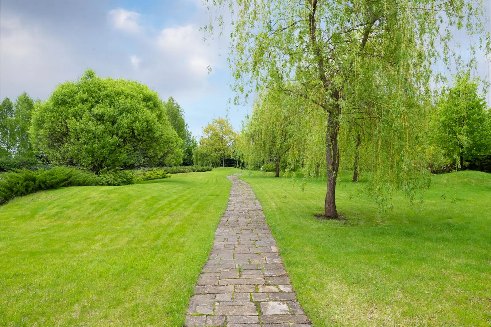 Long family lawn with a stone path, weeping willow and mature trees